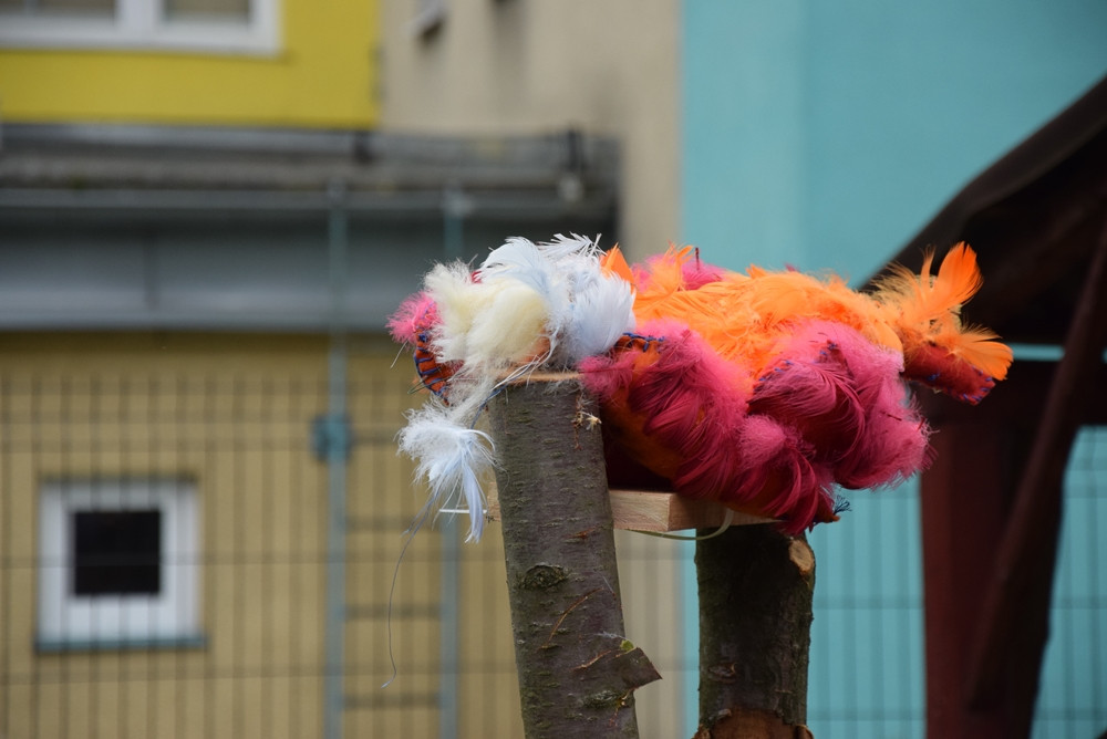 Kartuzy. Ścięli kani łeb - obrzęd Nocy Świętojańskiej zaprezentowano w Muzeum Kaszubskim