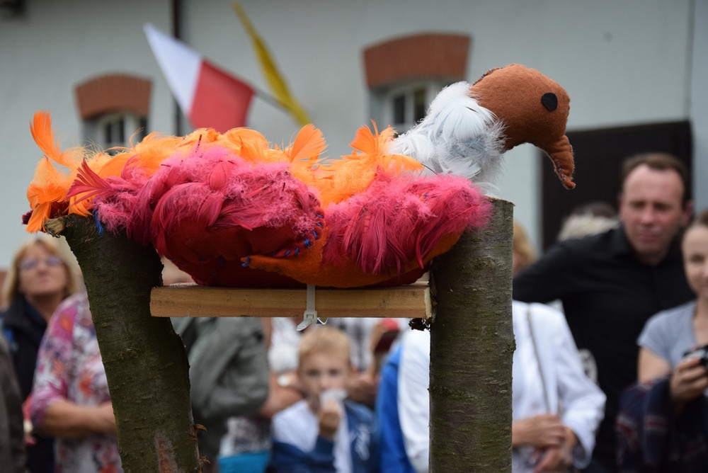 Kartuzy. Ścięli kani łeb - obrzęd Nocy Świętojańskiej zaprezentowano w Muzeum Kaszubskim