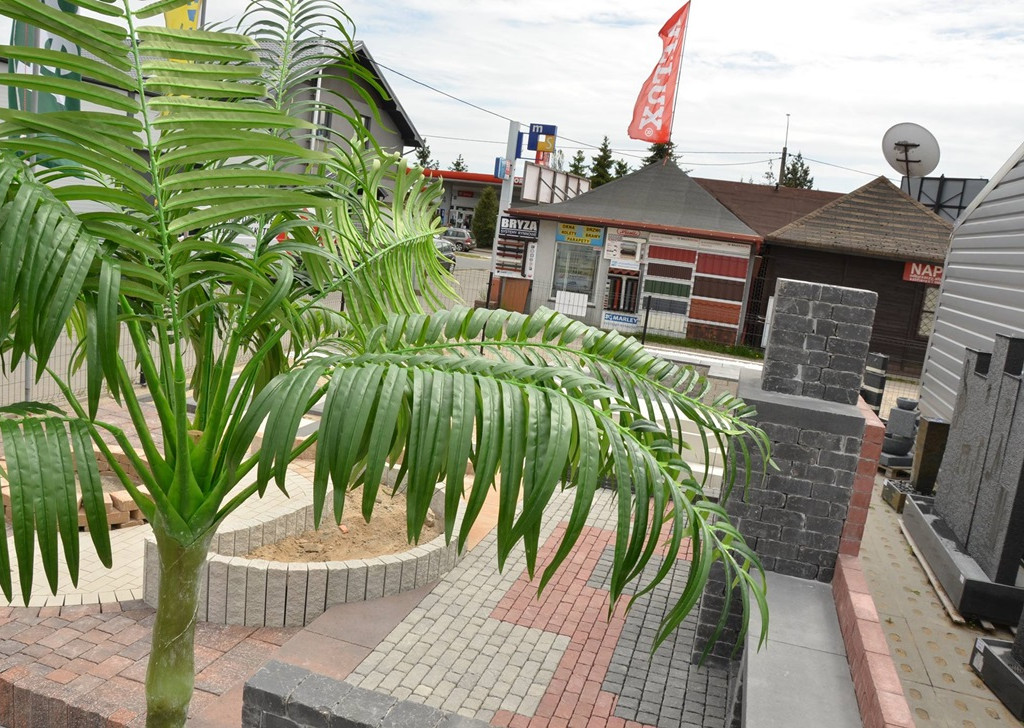 Urządzasz ogród lub działkę? Sklep Premium zaprasza na spotkanie z projektantami