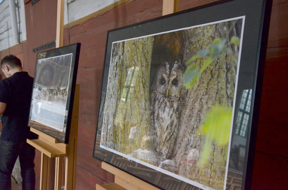 Sierakowice. Efekty bezkrwawych łowów można podziwiać w drewnianym kościółku