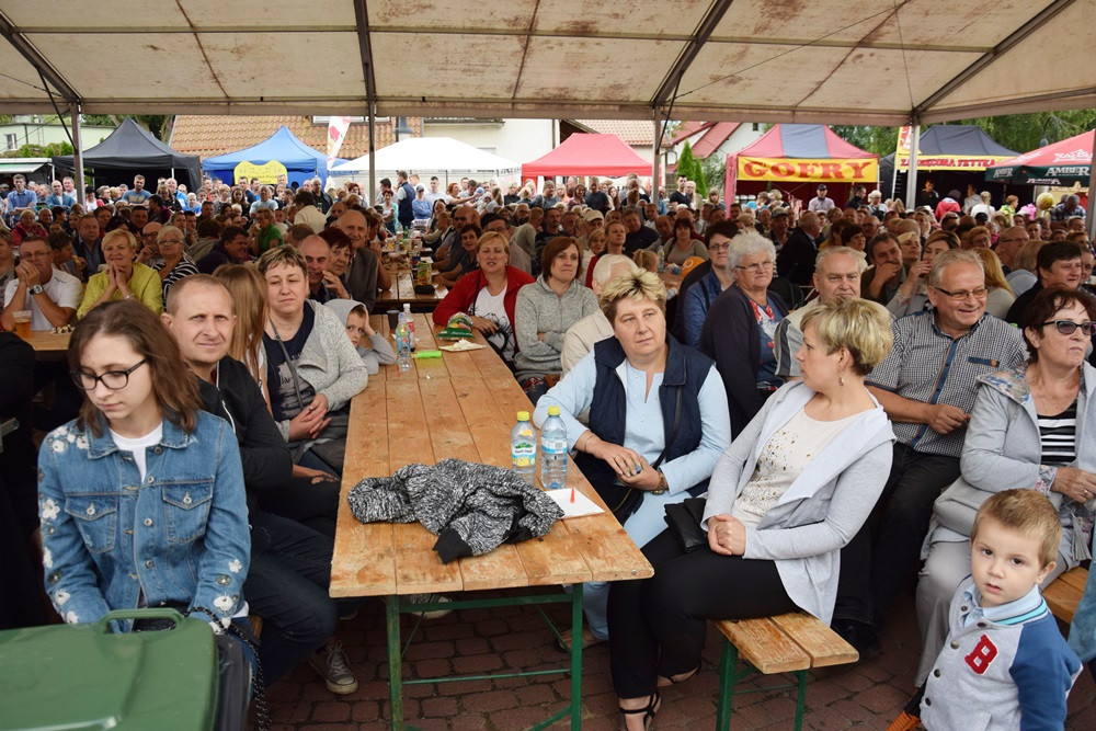 Ostrzyce. Wesoła zabawa z kapelami weselnymi