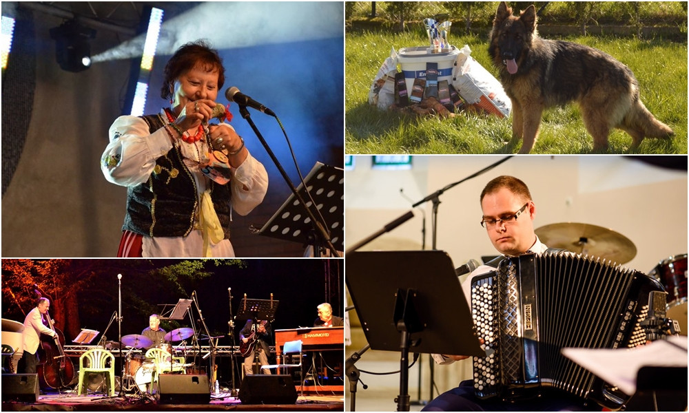 Zaplanuj weekend: rekordowe tabaczenie, muzyka akordeonowa, jazz i pokaz psich piękności