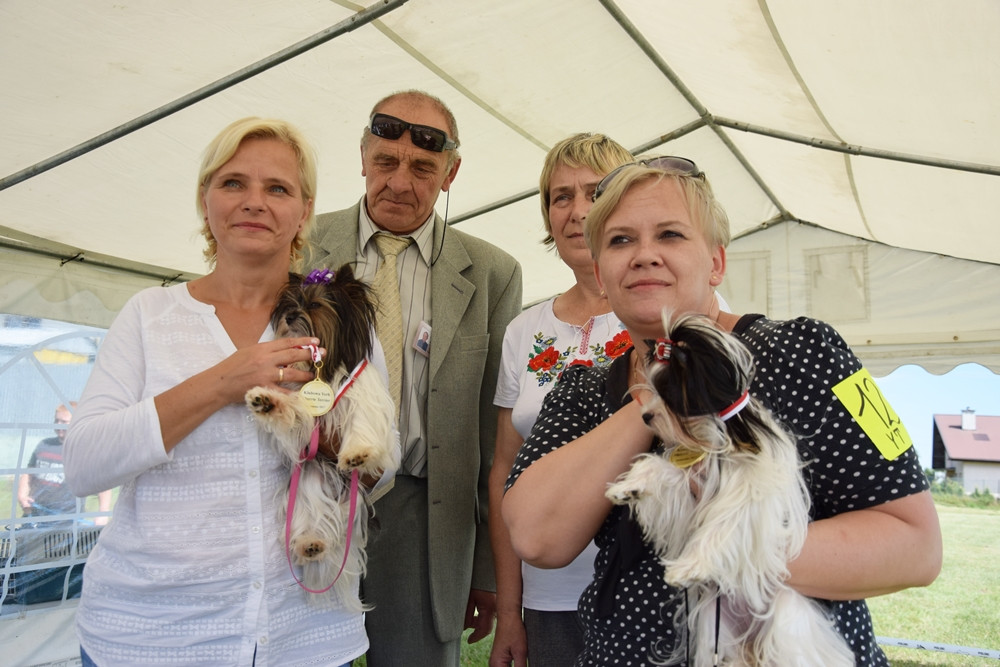 Somonino. Owczarki niemieckie, yorki, chihuahua i wiele innych na I Wystawie Psów Rasowych
