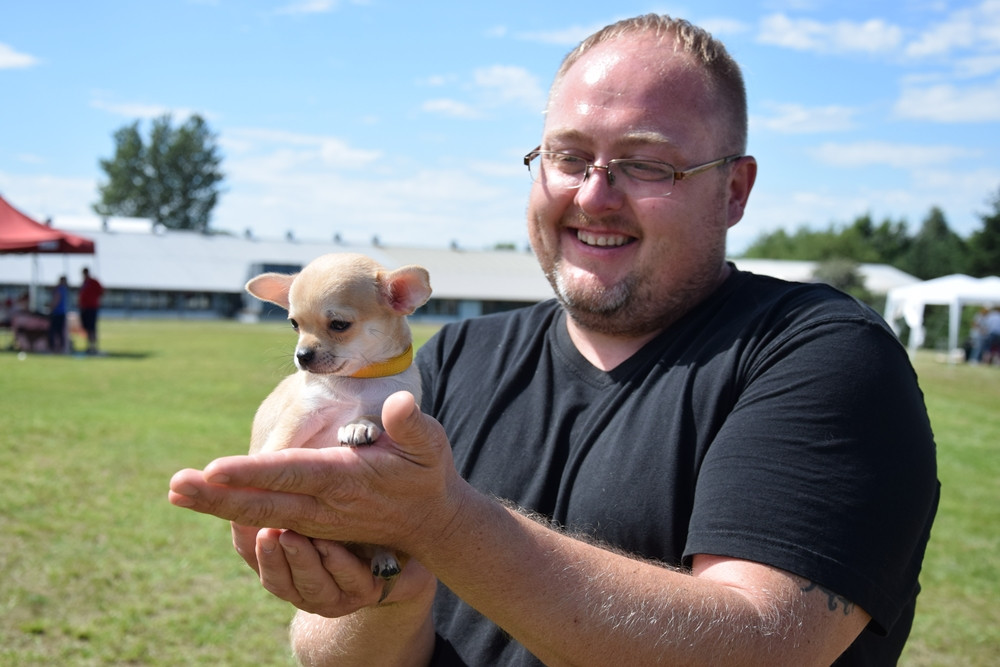 Somonino. Owczarki niemieckie, yorki, chihuahua i wiele innych na I Wystawie Psów Rasowych