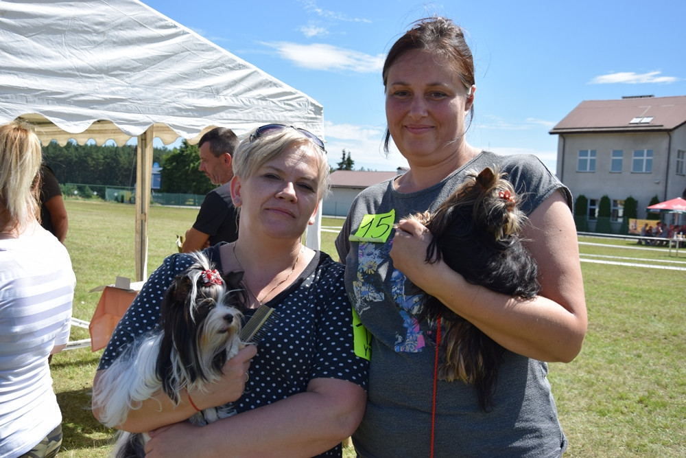 Somonino. Owczarki niemieckie, yorki, chihuahua i wiele innych na I Wystawie Psów Rasowych