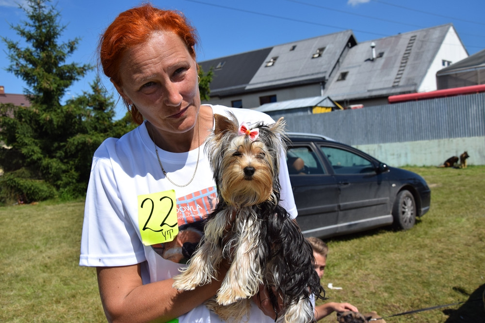 Somonino. Owczarki niemieckie, yorki, chihuahua i wiele innych na I Wystawie Psów Rasowych