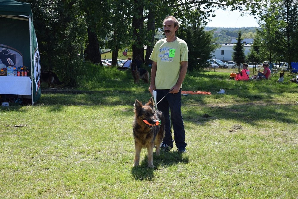 Somonino. Owczarki niemieckie, yorki, chihuahua i wiele innych na I Wystawie Psów Rasowych