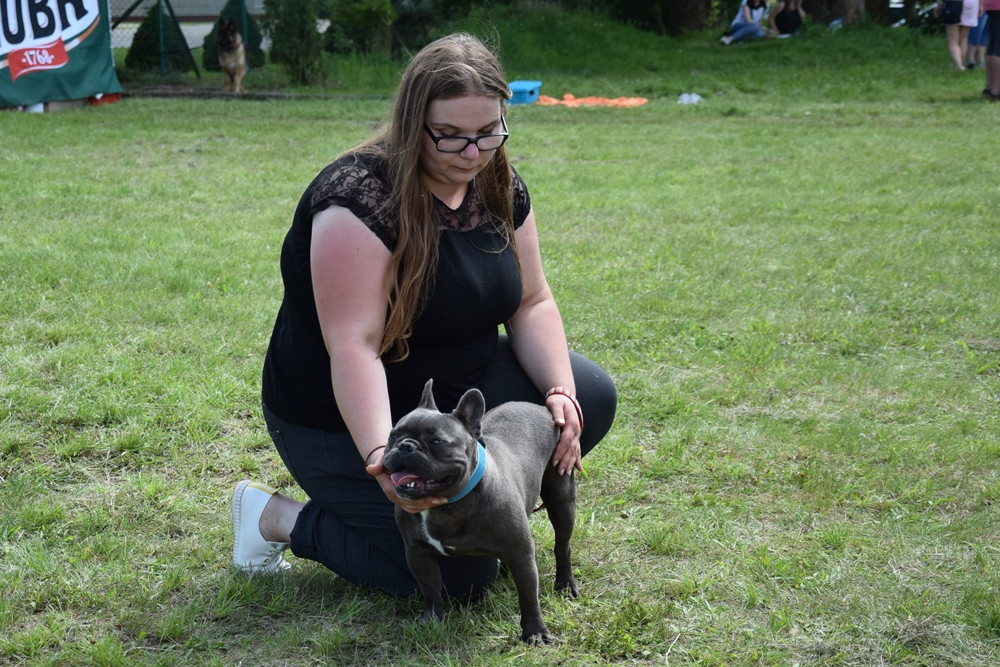 Somonino. Owczarki niemieckie, yorki, chihuahua i wiele innych na I Wystawie Psów Rasowych