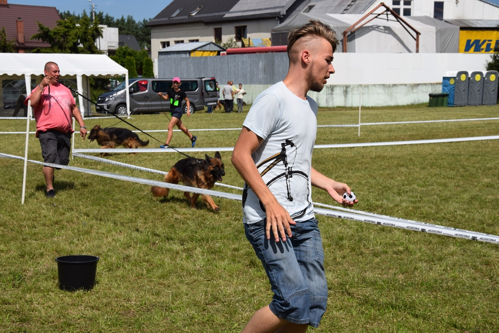 Somonino. Owczarki niemieckie, yorki, chihuahua i wiele innych na I Wystawie Psów Rasowych