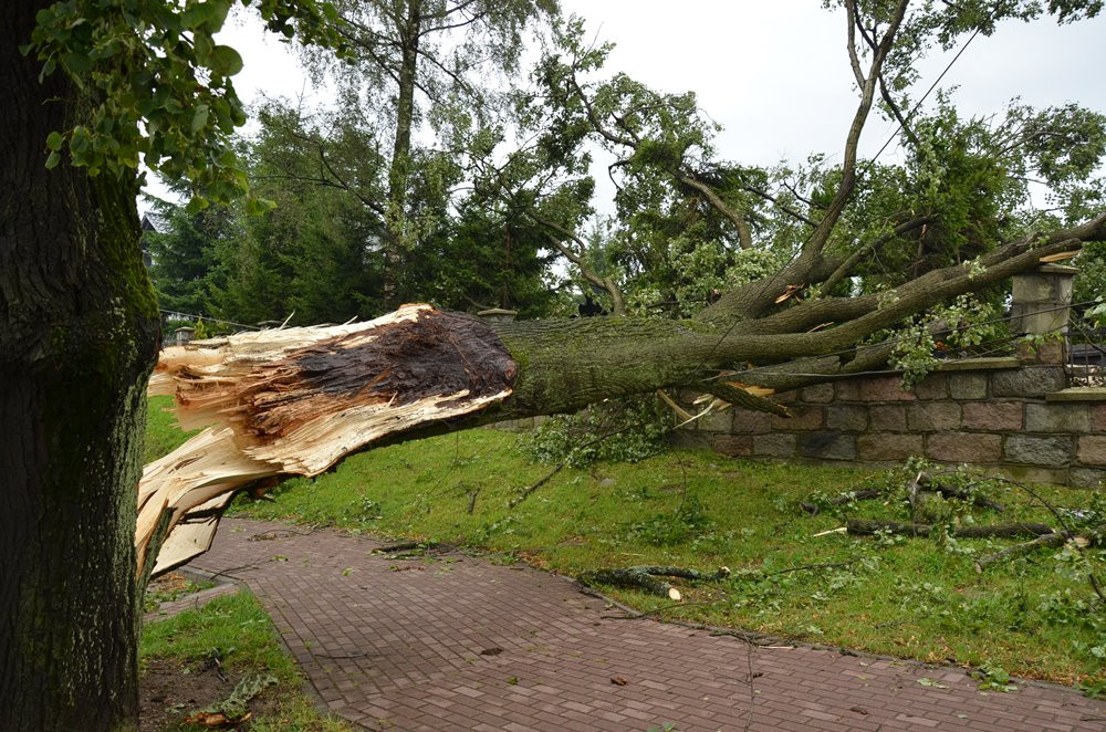 Potężna nawałnica na Kaszubach. Dwie osoby ranne, połamane drzewa, zerwane dachy