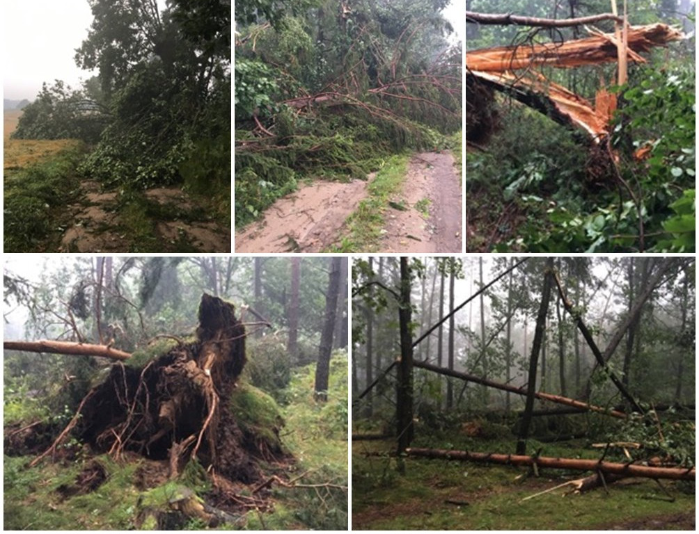 Potężna nawałnica na Kaszubach. Dwie osoby ranne, połamane drzewa, zerwane dachy