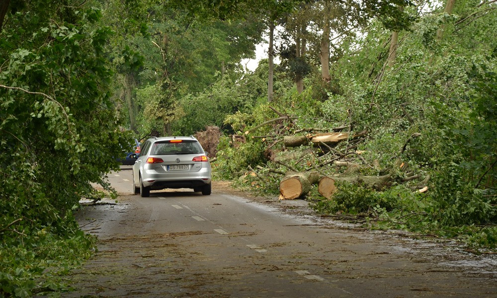 Potężna nawałnica na Kaszubach. Dwie osoby ranne, połamane drzewa, zerwane dachy
