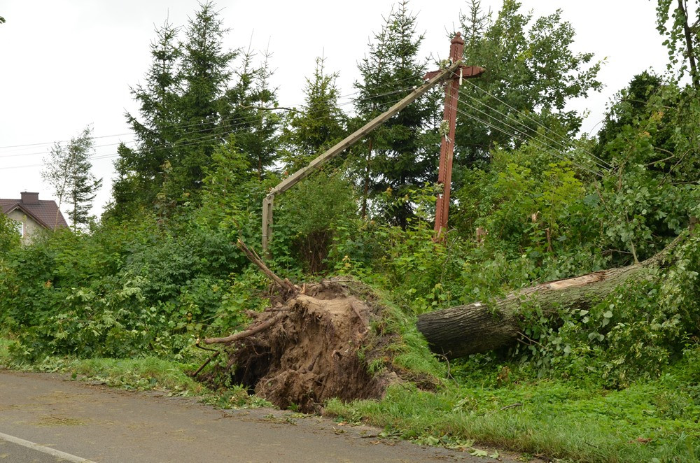 Potężna nawałnica na Kaszubach. Dwie osoby ranne, połamane drzewa, zerwane dachy