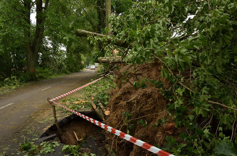 Potężna nawałnica na Kaszubach. Dwie osoby ranne, połamane drzewa, zerwane dachy