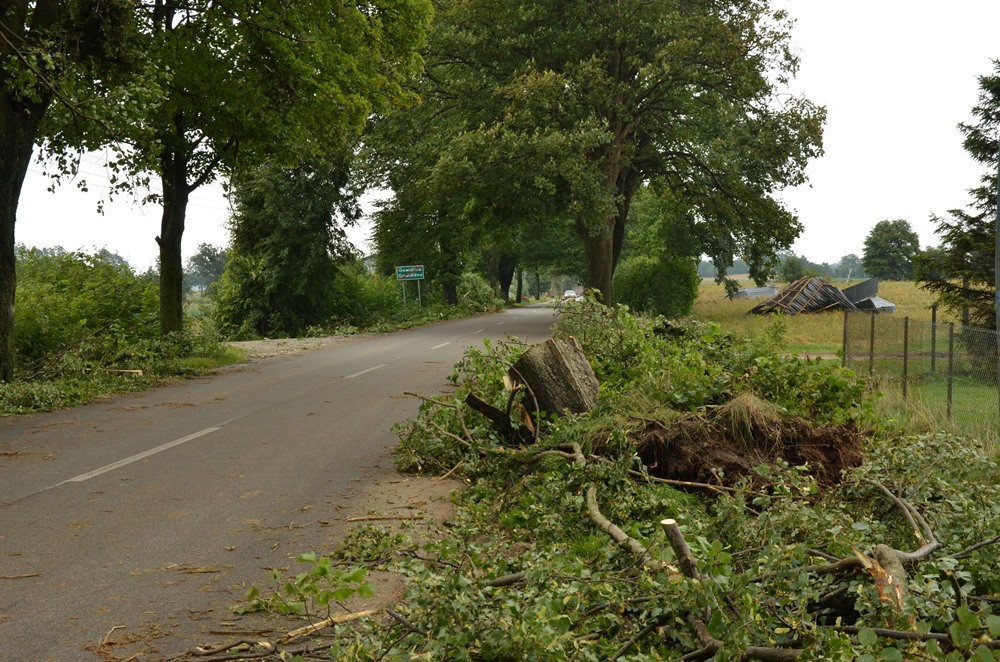 Potężna nawałnica na Kaszubach. Dwie osoby ranne, połamane drzewa, zerwane dachy