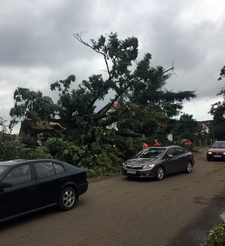 Potężna nawałnica na Kaszubach. Dwie osoby ranne, połamane drzewa, zerwane dachy