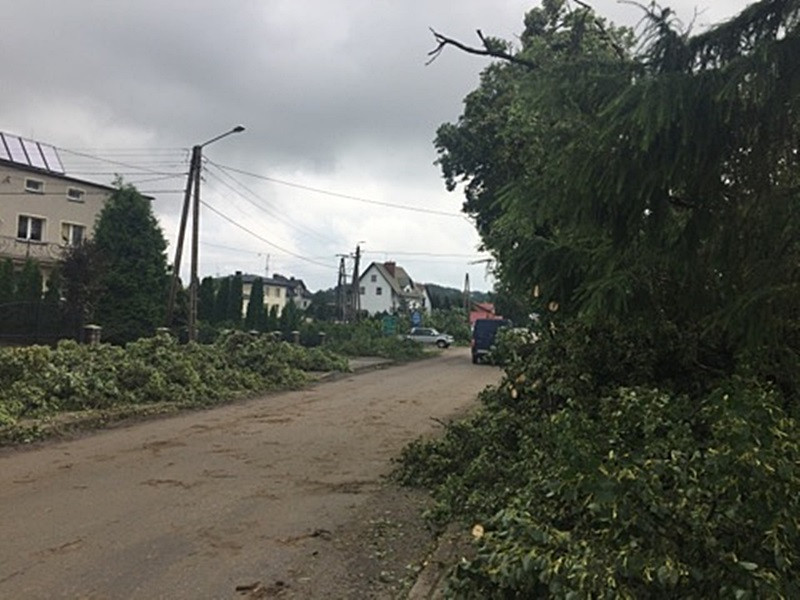 Potężna nawałnica na Kaszubach. Dwie osoby ranne, połamane drzewa, zerwane dachy