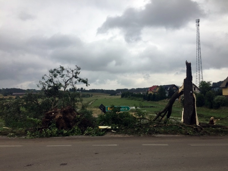 Potężna nawałnica na Kaszubach. Dwie osoby ranne, połamane drzewa, zerwane dachy