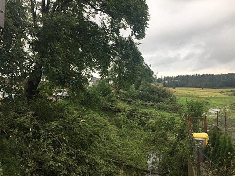 Potężna nawałnica na Kaszubach. Dwie osoby ranne, połamane drzewa, zerwane dachy