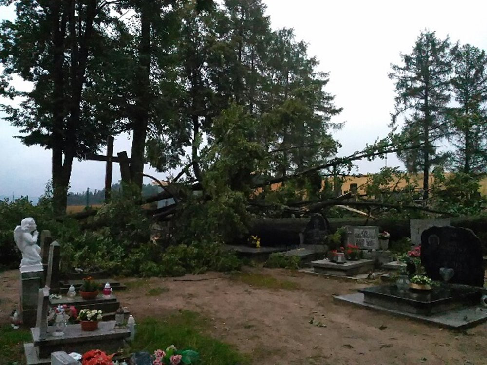 Potężna nawałnica na Kaszubach. Dwie osoby ranne, połamane drzewa, zerwane dachy