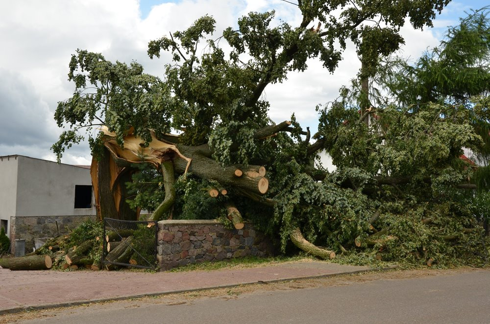 Strażacy koncentrują działania w okolicy Sulęczyna. Skala zniszczeń jest ogromna