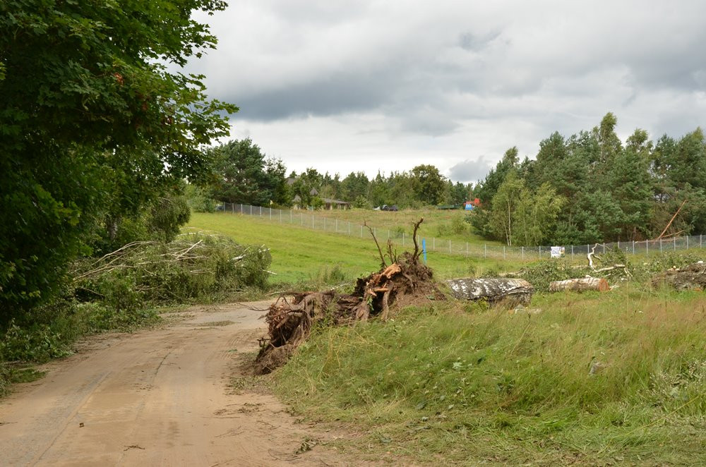 Strażacy koncentrują działania w okolicy Sulęczyna. Skala zniszczeń jest ogromna