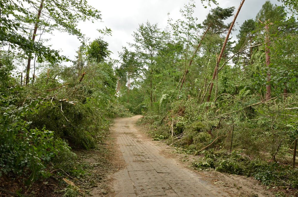 Strażacy koncentrują działania w okolicy Sulęczyna. Skala zniszczeń jest ogromna