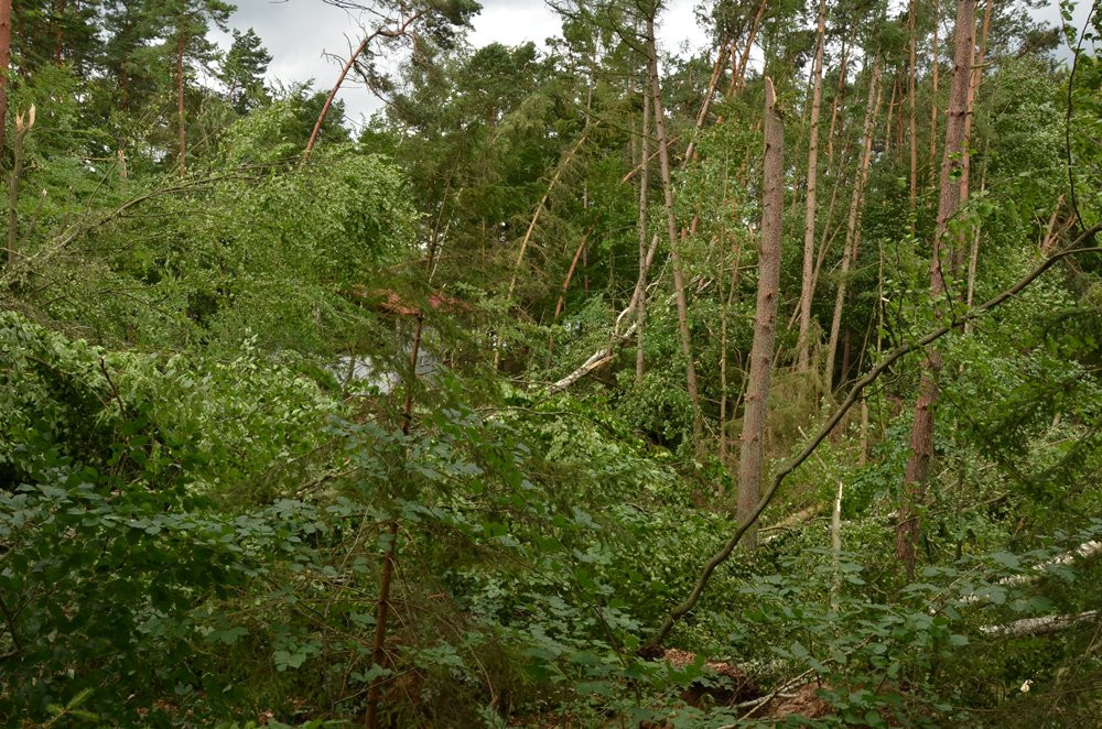 Strażacy koncentrują działania w okolicy Sulęczyna. Skala zniszczeń jest ogromna