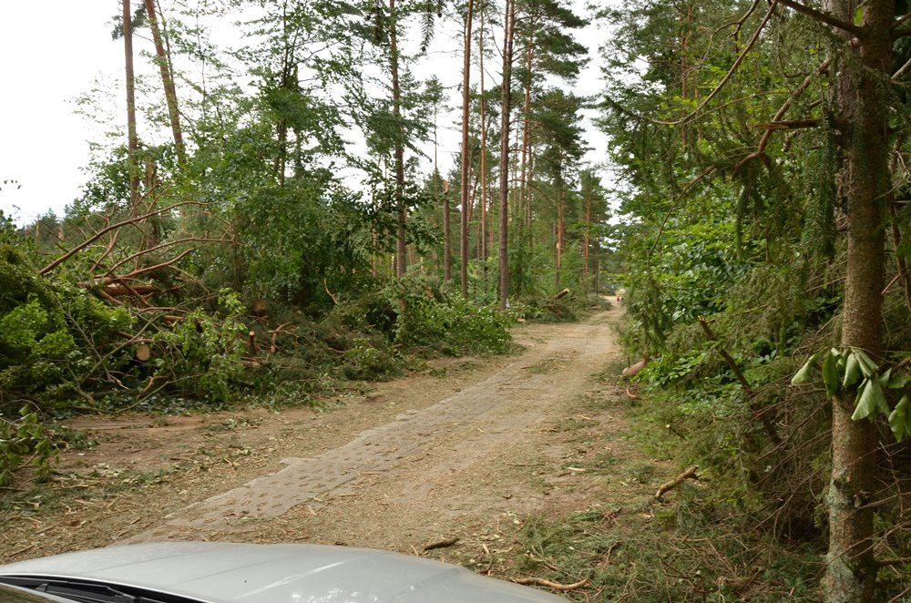 Strażacy koncentrują działania w okolicy Sulęczyna. Skala zniszczeń jest ogromna