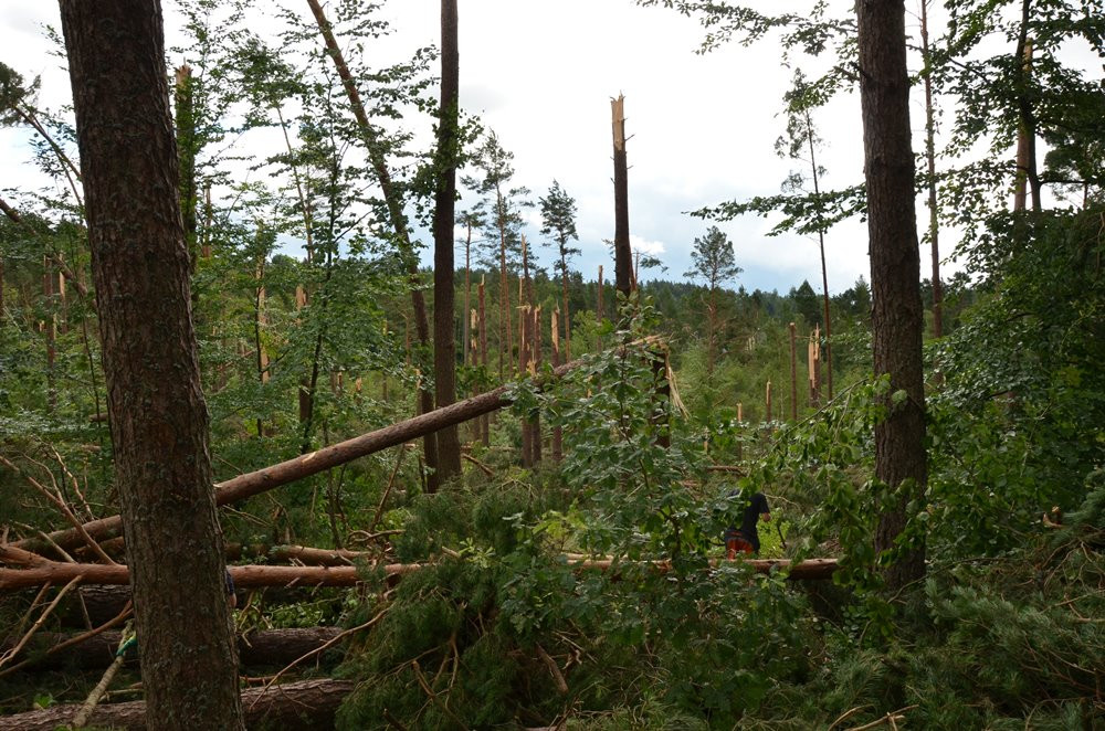 Strażacy koncentrują działania w okolicy Sulęczyna. Skala zniszczeń jest ogromna