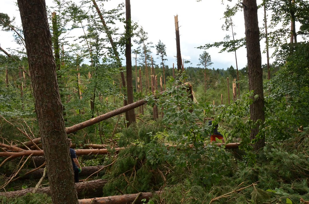 Strażacy koncentrują działania w okolicy Sulęczyna. Skala zniszczeń jest ogromna