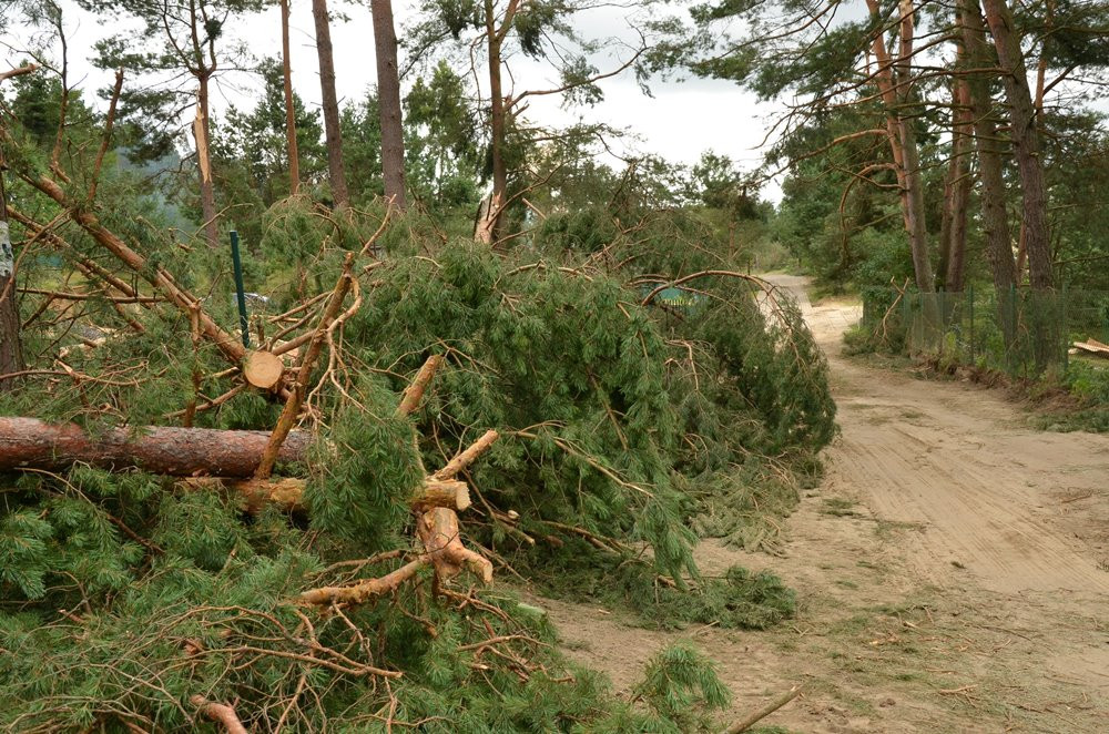 Strażacy koncentrują działania w okolicy Sulęczyna. Skala zniszczeń jest ogromna