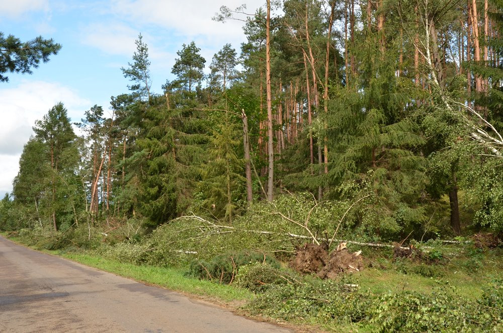 Strażacy koncentrują działania w okolicy Sulęczyna. Skala zniszczeń jest ogromna