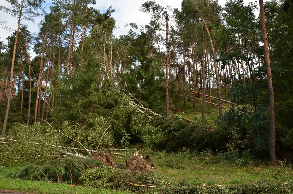 Strażacy koncentrują działania w okolicy Sulęczyna. Skala zniszczeń jest ogromna