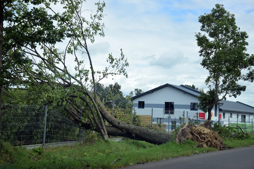 Strażacy koncentrują działania w okolicy Sulęczyna. Skala zniszczeń jest ogromna