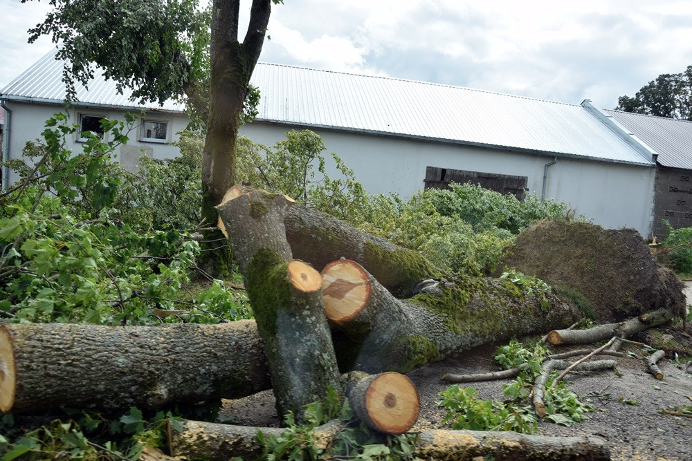 Strażacy koncentrują działania w okolicy Sulęczyna. Skala zniszczeń jest ogromna