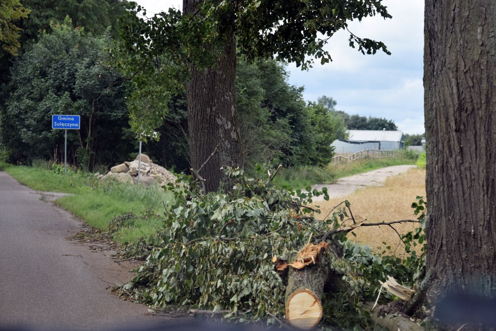 Strażacy koncentrują działania w okolicy Sulęczyna. Skala zniszczeń jest ogromna