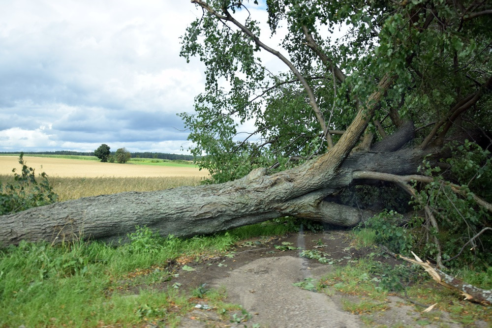 Strażacy koncentrują działania w okolicy Sulęczyna. Skala zniszczeń jest ogromna