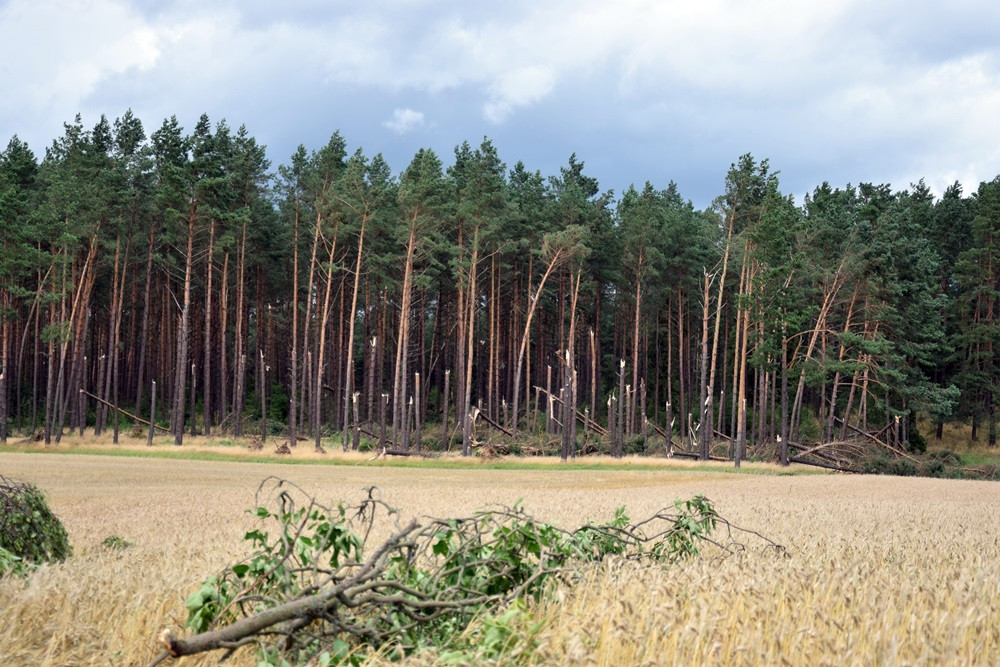 Strażacy koncentrują działania w okolicy Sulęczyna. Skala zniszczeń jest ogromna