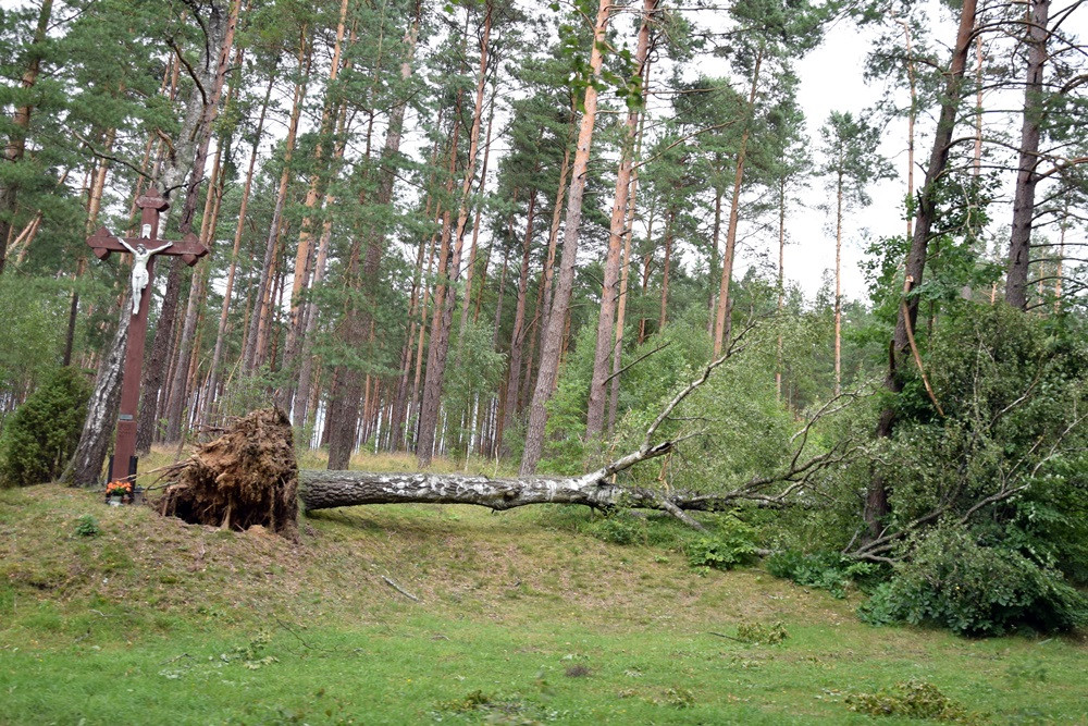 Strażacy koncentrują działania w okolicy Sulęczyna. Skala zniszczeń jest ogromna