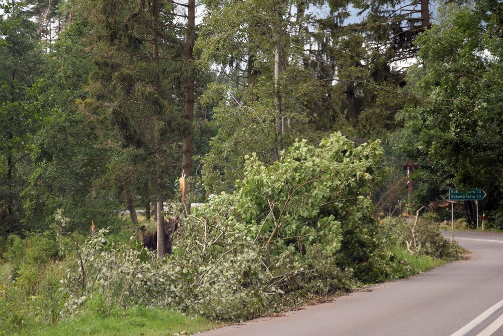 Strażacy koncentrują działania w okolicy Sulęczyna. Skala zniszczeń jest ogromna