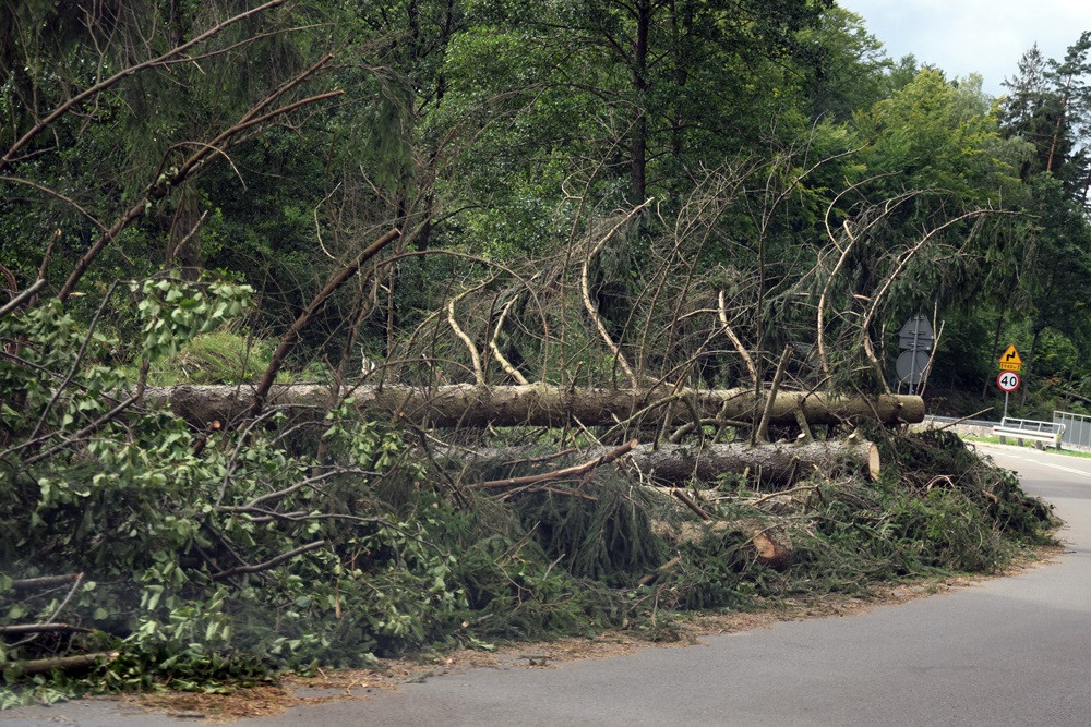 Strażacy koncentrują działania w okolicy Sulęczyna. Skala zniszczeń jest ogromna
