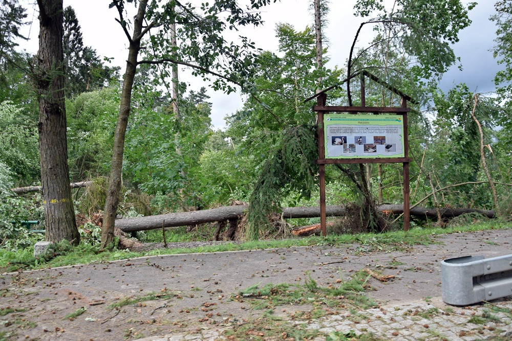 Strażacy koncentrują działania w okolicy Sulęczyna. Skala zniszczeń jest ogromna