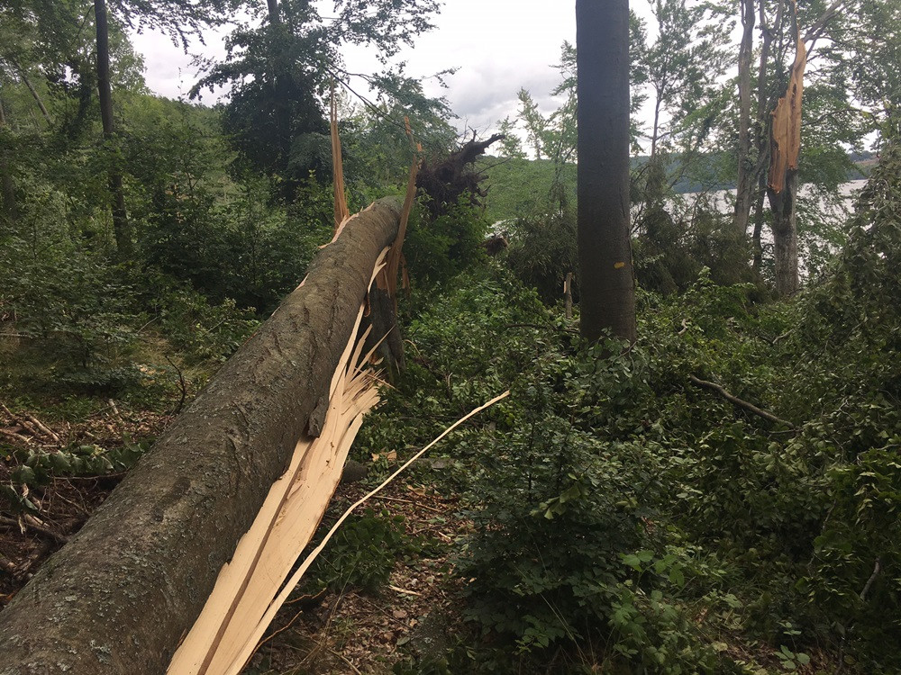 Nadleśnictwo Kartuzy liczy straty po nawałnicy. Najgorzej jest w Kamionce i Bąckiej Hucie