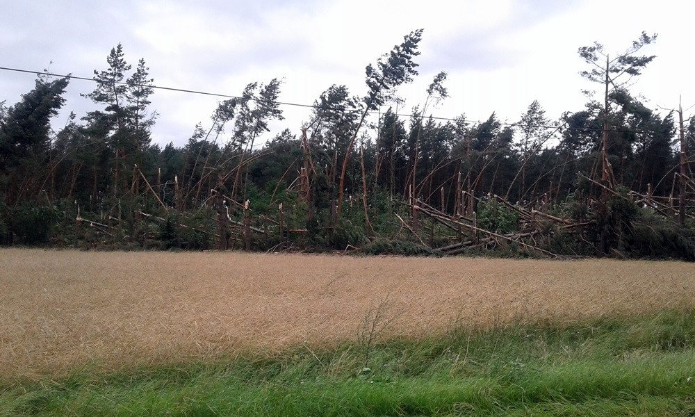 Nadleśnictwo Kartuzy liczy straty po nawałnicy. Najgorzej jest w Kamionce i Bąckiej Hucie