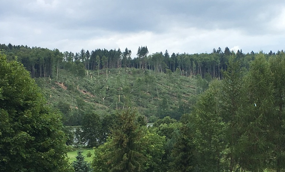 Nadleśnictwo Kartuzy liczy straty po nawałnicy. Najgorzej jest w Kamionce i Bąckiej Hucie