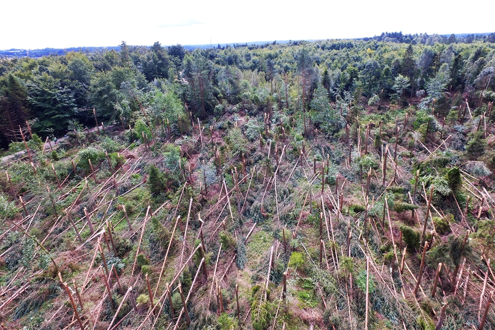 Duże straty po nawałnicy w Leśnictwie Kamionka. Zobacz zdjęcia i film z drona