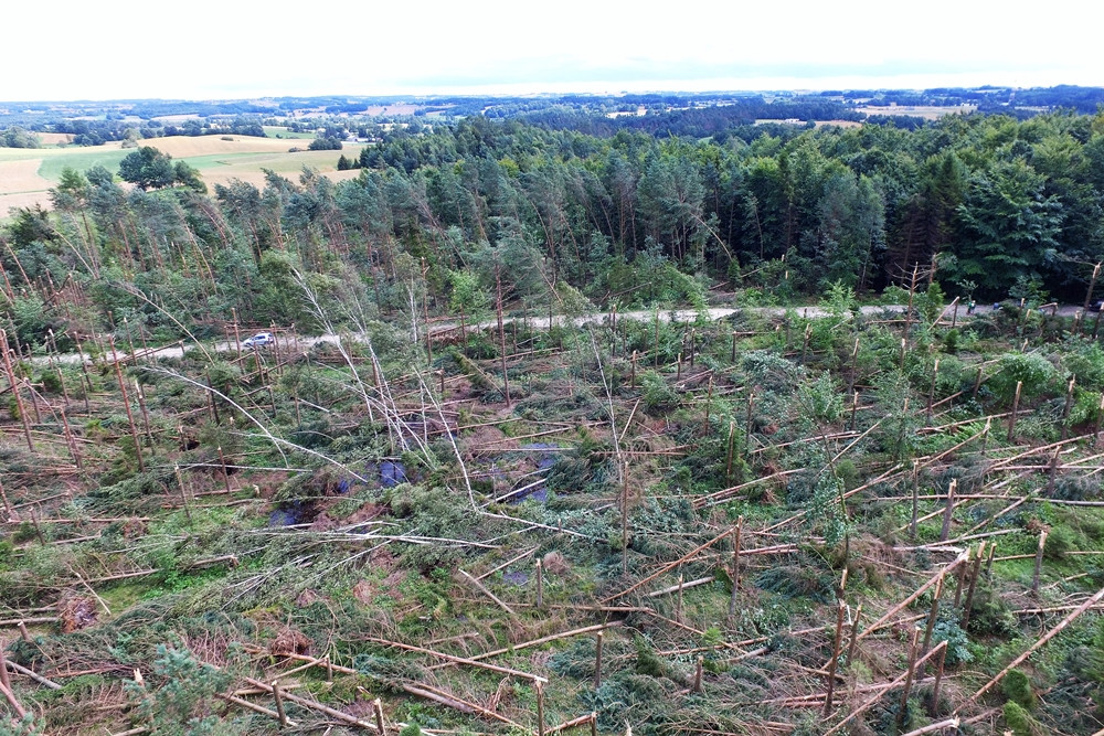 Duże straty po nawałnicy w Leśnictwie Kamionka. Zobacz zdjęcia i film z drona