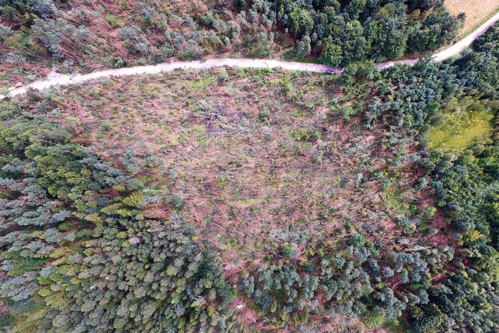 Duże straty po nawałnicy w Leśnictwie Kamionka. Zobacz zdjęcia i film z drona
