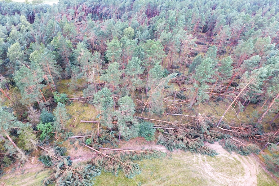 Duże straty po nawałnicy w Leśnictwie Kamionka. Zobacz zdjęcia i film z drona
